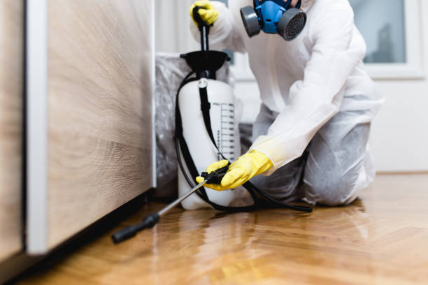 Best Pest Control Near Me in Chillicothe, OH