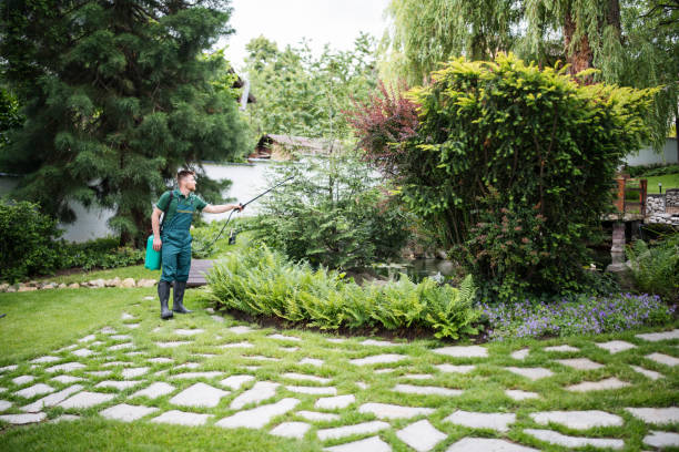 Best Best Pest Control Near Me  in Chillicothe, OH