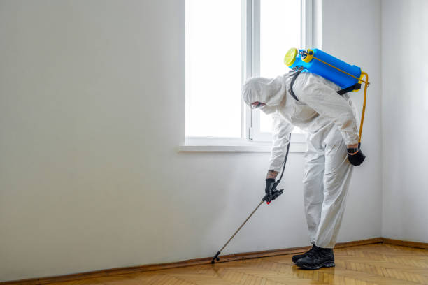 Best Pest Prevention Services  in Chillicothe, OH