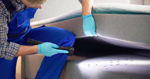  Chillicothe, OH Pest Control Pros