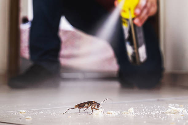 Trusted Chillicothe, OH Pest Control Experts